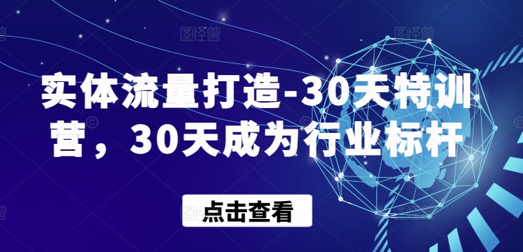 实体流量打造-30天特训营，30天成为行业标杆-乐优网创