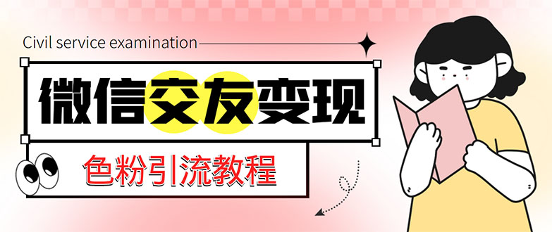 微信交友变现项目，吸引全网LSP男粉精准变现，小白也能轻松上手，日入500+-乐优网创