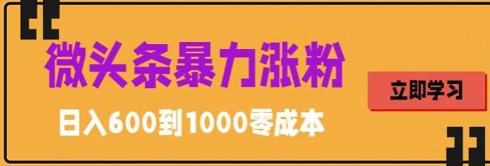 （5950期）微头条暴力涨粉技巧搬运文案就能涨几万粉丝，简单0成本，日赚600-乐优网创