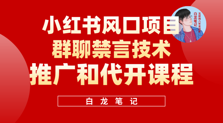 （5973期）小红书风口项目日入300+，小红书群聊禁言技术代开项目，适合新手操作-乐优网创