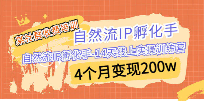 （6924期）某社群收费培训：自然流IP 孵化手-14天线上实操训练营 4个月变现200w-乐优网创