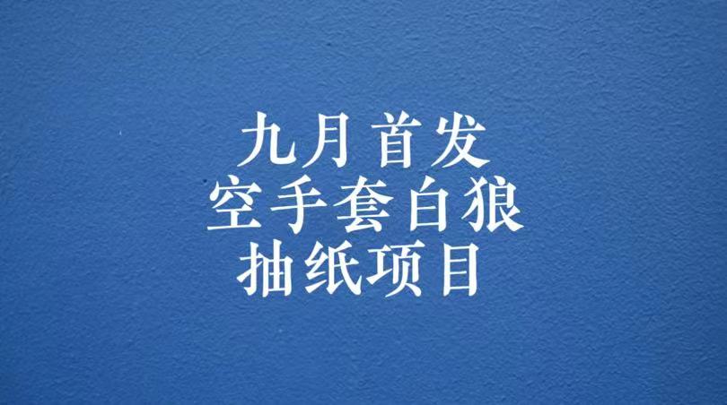 0成本，日入100-500空手套白狼抽纸项目，保姆级教学-乐优网创