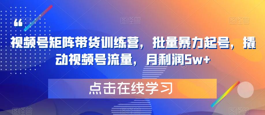 视频号矩阵带货训练营，批量暴力起号，撬动视频号流量，月利润5w+-乐优网创