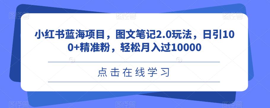 小红书蓝海项目，图文笔记2.0玩法，日引100+精准粉，轻松月入过10000【揭秘】-乐优网创