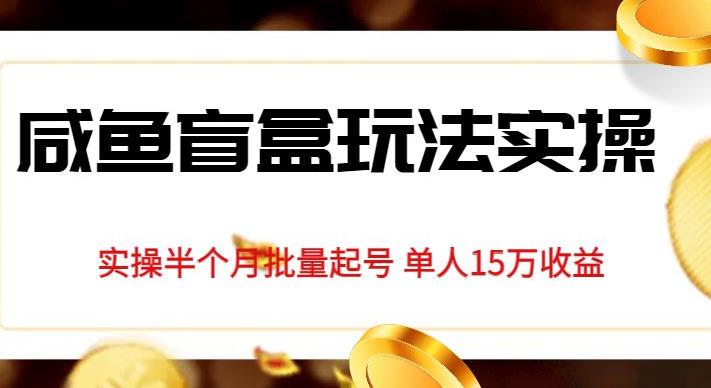 独家首发咸鱼盲盒玩法实操，半个月批量起号单人15万收益【揭秘】-乐优网创