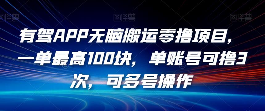 有驾APP无脑搬运零撸项目，一单最高100块，单账号可撸3次，可多号操作【揭秘】-乐优网创