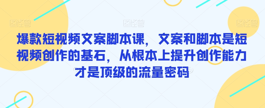 爆款短视频文案脚本课，文案和脚本是短视频创作的基石，从根本上提升创作能力才是顶级的流量密码-乐优网创