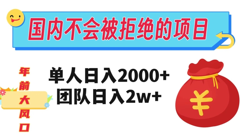 在国内不怕被拒绝的项目，单人日入2000，团队日入20000+【揭秘】-乐优网创