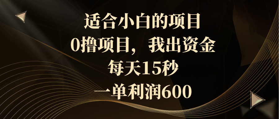 （8571期）适合小白的项目，0撸项目，我出资金，每天15秒，一单利润600-乐优网创