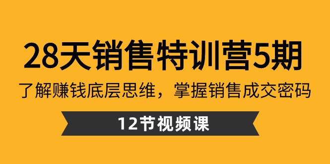 28天销售特训营5期：了解赚钱底层思维，掌握销售成交密码（12节课）-乐优网创