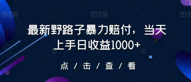 最新野路子暴力赔付，当天上手日收益1000+【仅揭秘】-乐优网创