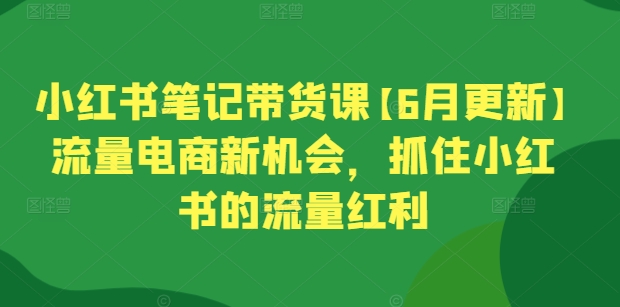 小红书笔记带货课【6月更新】流量电商新机会，抓住小红书的流量红利-乐优网创