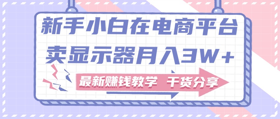 （11053期）新手小白如何做到在电商平台卖显示器月入3W+，最新赚钱教学干货分享-乐优网创