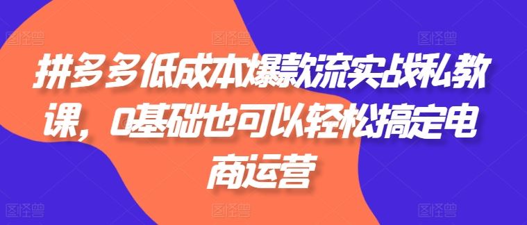 拼多多低成本爆款流实战私教课，0基础也可以轻松搞定电商运营-乐优网创