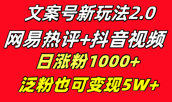 文案号新玩法 网易热评+抖音文案 一天涨粉1000+ 多种变现模式 泛粉也可变现-乐优网创