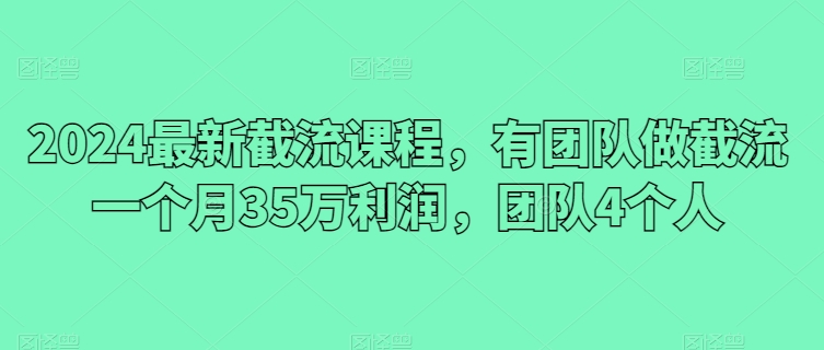 2024最新截流课程，有团队做截流一个月35万利润，团队4个人-乐优网创