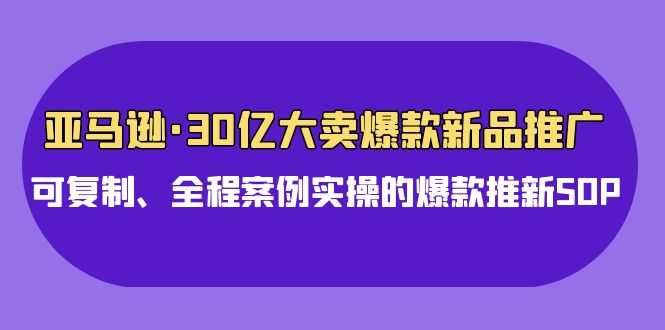 亚马逊30亿大卖爆款新品推广，可复制、全程案例实操的爆款推新SOP-乐优网创