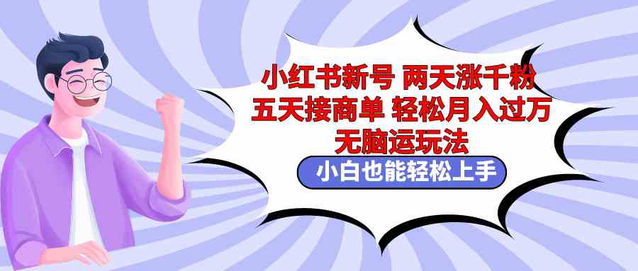 （9239期）小红书新号两天涨千粉五天接商单轻松月入过万 无脑搬运玩法 小白也能轻…-乐优网创