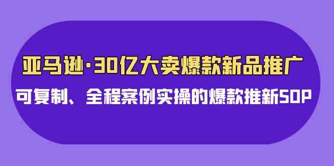 （9944期）亚马逊30亿·大卖爆款新品推广，可复制、全程案例实操的爆款推新SOP-乐优网创