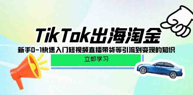 （10035期）TikTok-出海淘金，新手0-1快速入门短视频直播带货等引流到变现的知识-乐优网创