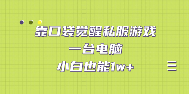 靠口袋觉醒私服游戏，一台电脑，小白也能1w+（教程+工具+资料）-乐优网创