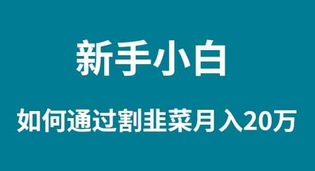 （9308期）新手小白如何通过割韭菜月入 20W-乐优网创