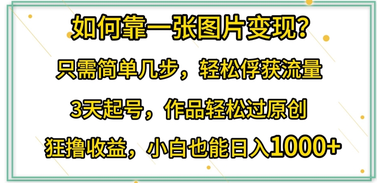 如何靠一张图片变现?只需简单几步，轻松俘获流量，3天起号，作品轻松过原创-乐优网创