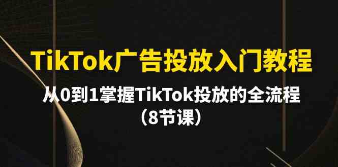 （10085期）TikTok广告投放入门教程，从0到1掌握TikTok投放的全流程（8节课）-乐优网创