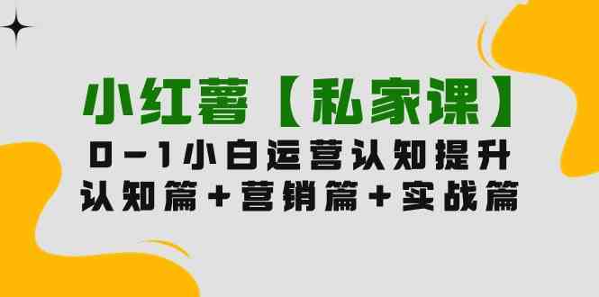 （9910期）小红薯【私家课】0-1玩赚小红书内容营销，认知篇+营销篇+实战篇（11节课）-乐优网创