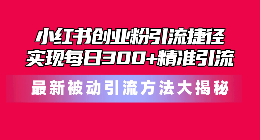 （10692期）小红书创业粉引流捷径！最新被动引流方法大揭秘，实现每日300+精准引流-乐优网创