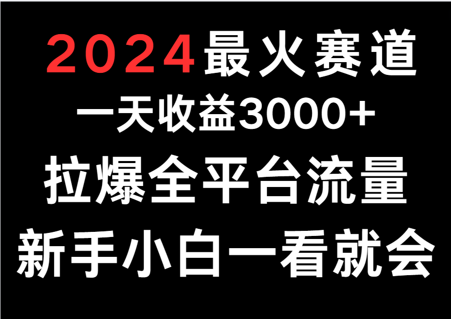 2024最火赛道，一天收一3000+.拉爆全平台流量，新手小白一看就会-乐优网创