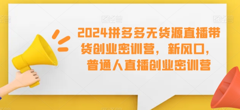 2024拼多多无货源直播带货创业密训营，新风口，普通人直播创业密训营-乐优网创