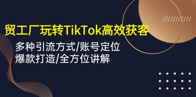 外贸工厂玩转TikTok高效获客，多种引流方式/账号定位/爆款打造/全方位讲解-乐优网创