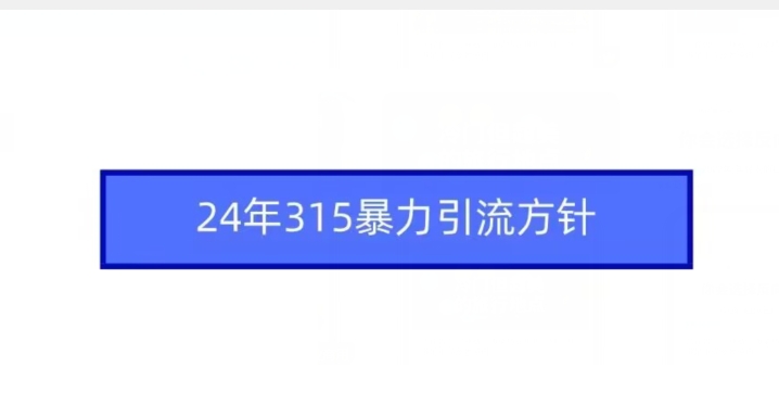 24年315暴力引流方针-乐优网创