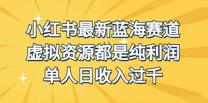 外面收费1980的小红书最新蓝海赛道，虚拟资源都是纯利润，单人日收入过千-乐优网创