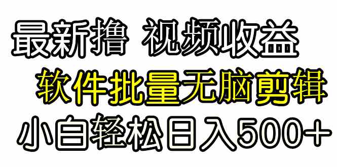 （9569期）发视频撸收益，软件无脑批量剪辑，第一天发第二天就有钱-乐优网创