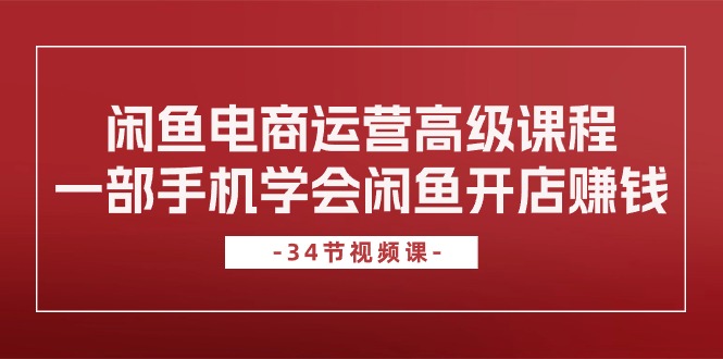 （10686期）闲鱼电商运营高级课程，一部手机学会闲鱼开店赚钱（34节课）-乐优网创