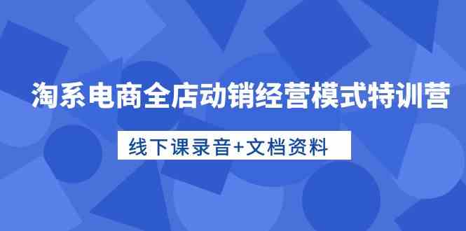 淘系电商全店动销经营模式特训营，线下课录音+文档资料-乐优网创