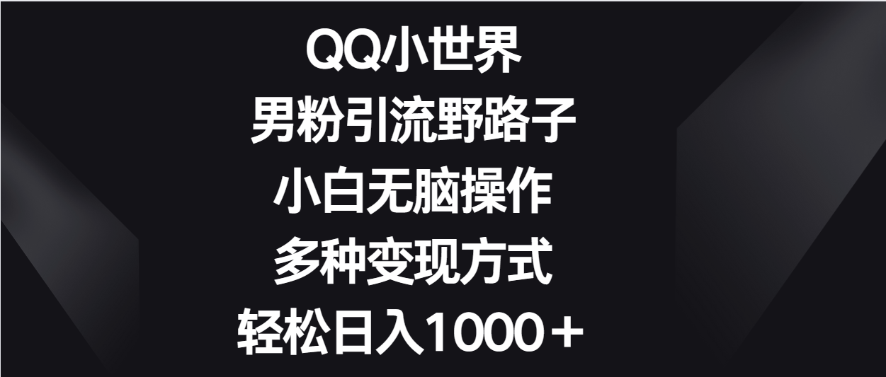 QQ小世界男粉引流野路子，小白无脑操作，多种变现方式轻松日入1000＋-乐优网创