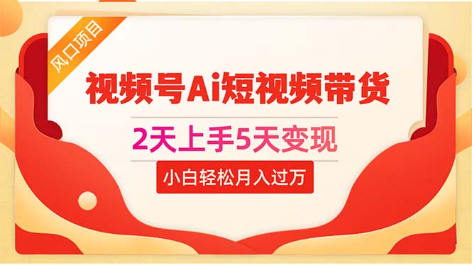 （10807期）2天上手5天变现视频号Ai短视频带货0粉丝0基础小白轻松月入过万-乐优网创