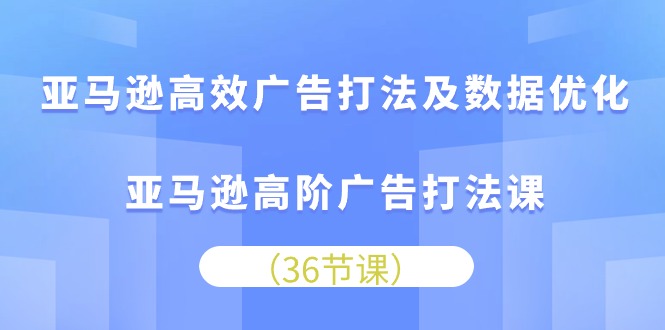 （10649期）亚马逊高效广告打法及数据优化，亚马逊高阶广告打法课-乐优网创