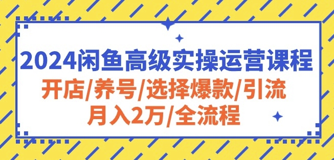 2024闲鱼高级实操运营课程：开店/养号/选择爆款/引流/月入2万/全流程-乐优网创