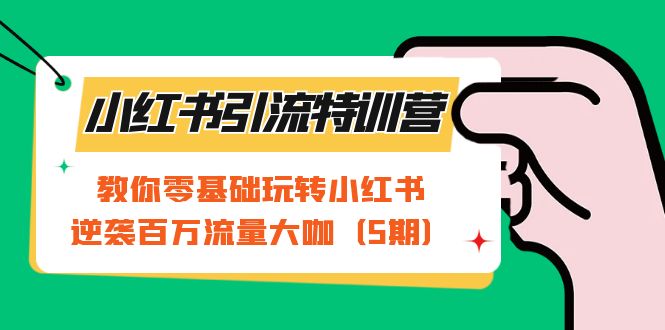 小红书引流特训营-第5期：教你零基础玩转小红书，逆袭百万流量大咖-乐优网创