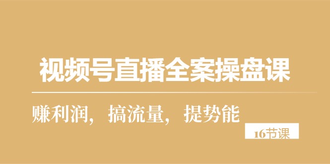 （10207期）视频号直播全案操盘课，赚利润，搞流量，提势能（16节课）-乐优网创