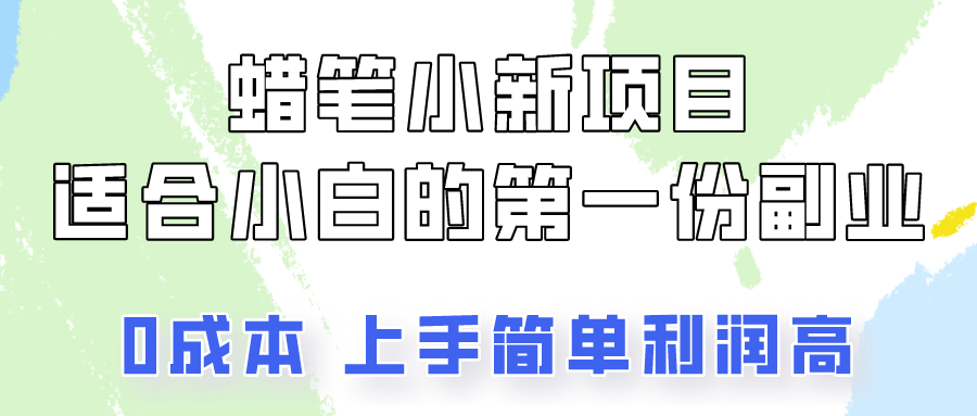 蜡笔小新项目拆解，0投入，0成本，小白一个月也能多赚3000+-乐优网创