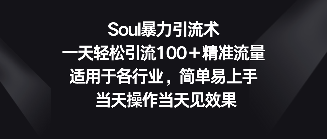 Soul暴力引流术，一天轻松引流100＋精准流量，适用于各行业，简单易上手！-乐优网创