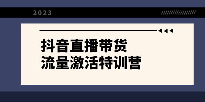 抖音直播带货-流量激活特训营，入行新手小白主播必学（21节课+资料）-乐优网创