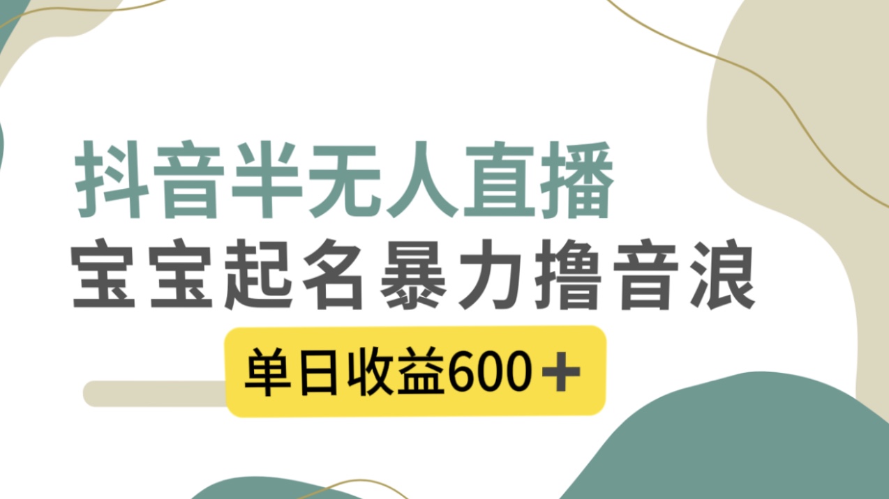 抖音半无人直播，宝宝起名，暴力撸音浪，单日收益600+-乐优网创