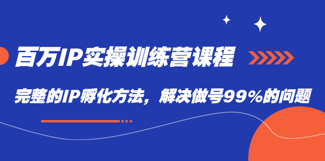 百万IP实战训练营课程，完整的IP孵化方法，解决做号99%的问题-乐优网创