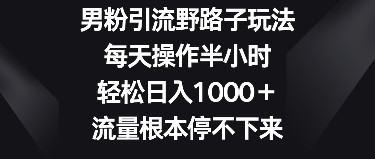 男粉引流野路子玩法，每天操作半小时轻松日入1000＋，流量根本停不下来-乐优网创